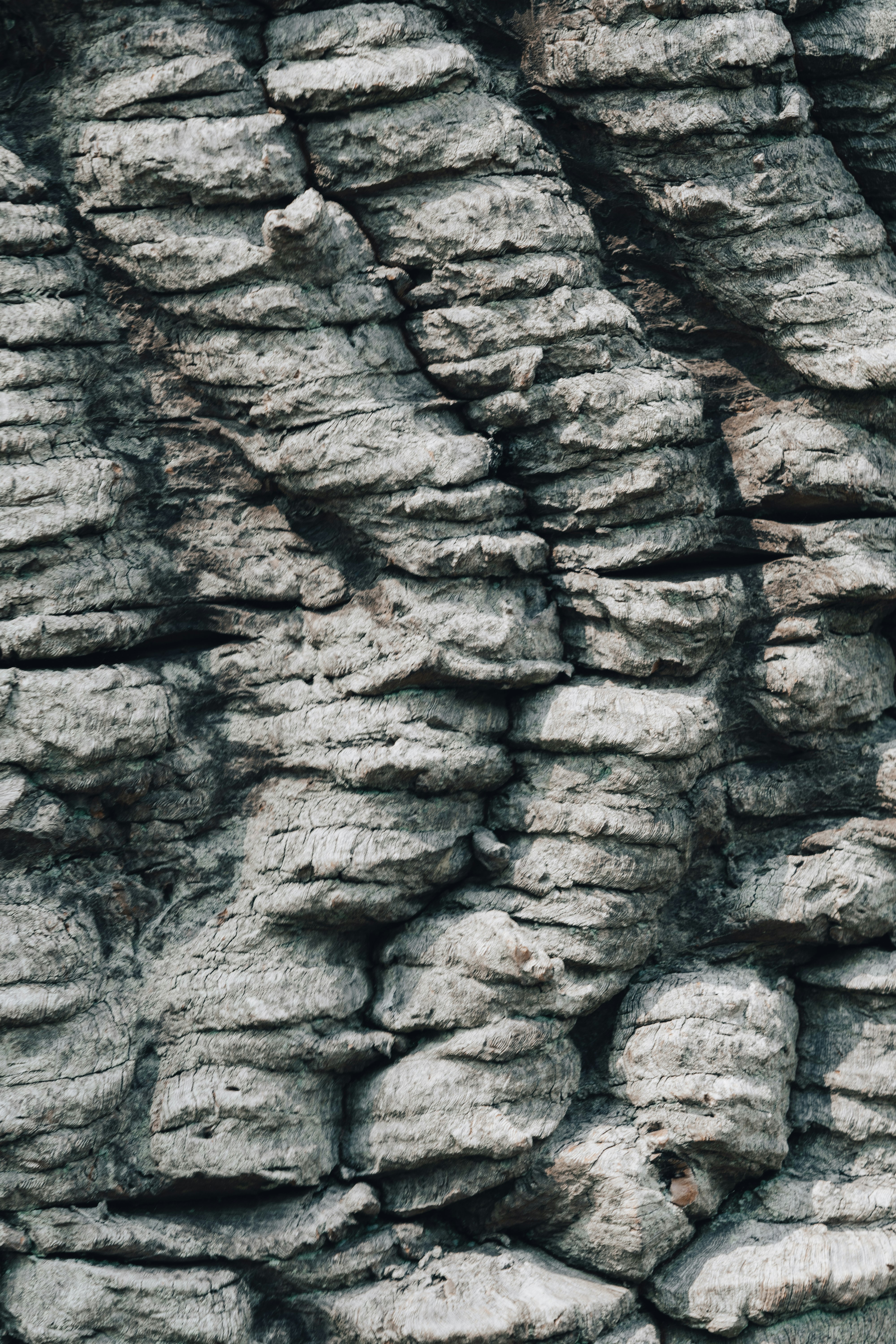 brown and gray rock formation